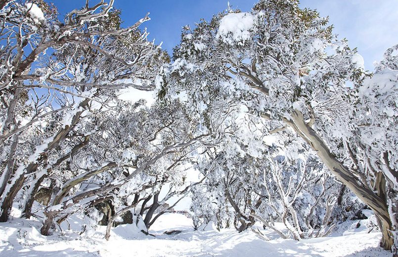 Discover Photography Courses | Photographing the snow
