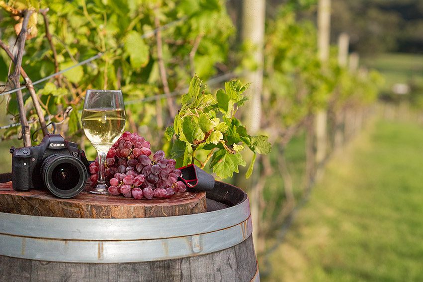 Discover Photography Courses | photograph the vineyards